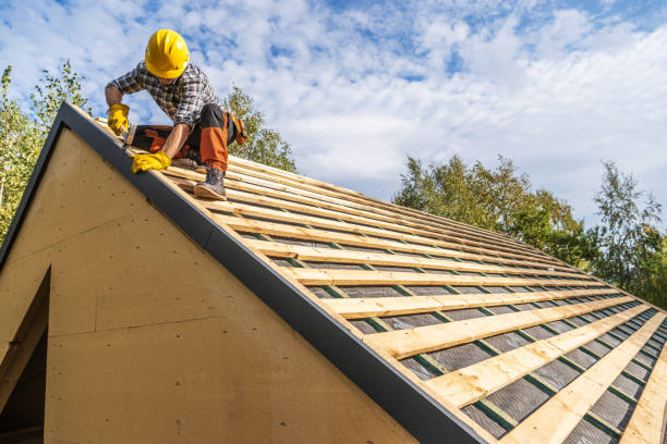 Best Roof Gutter Cleaning  in Fort Davis, TX